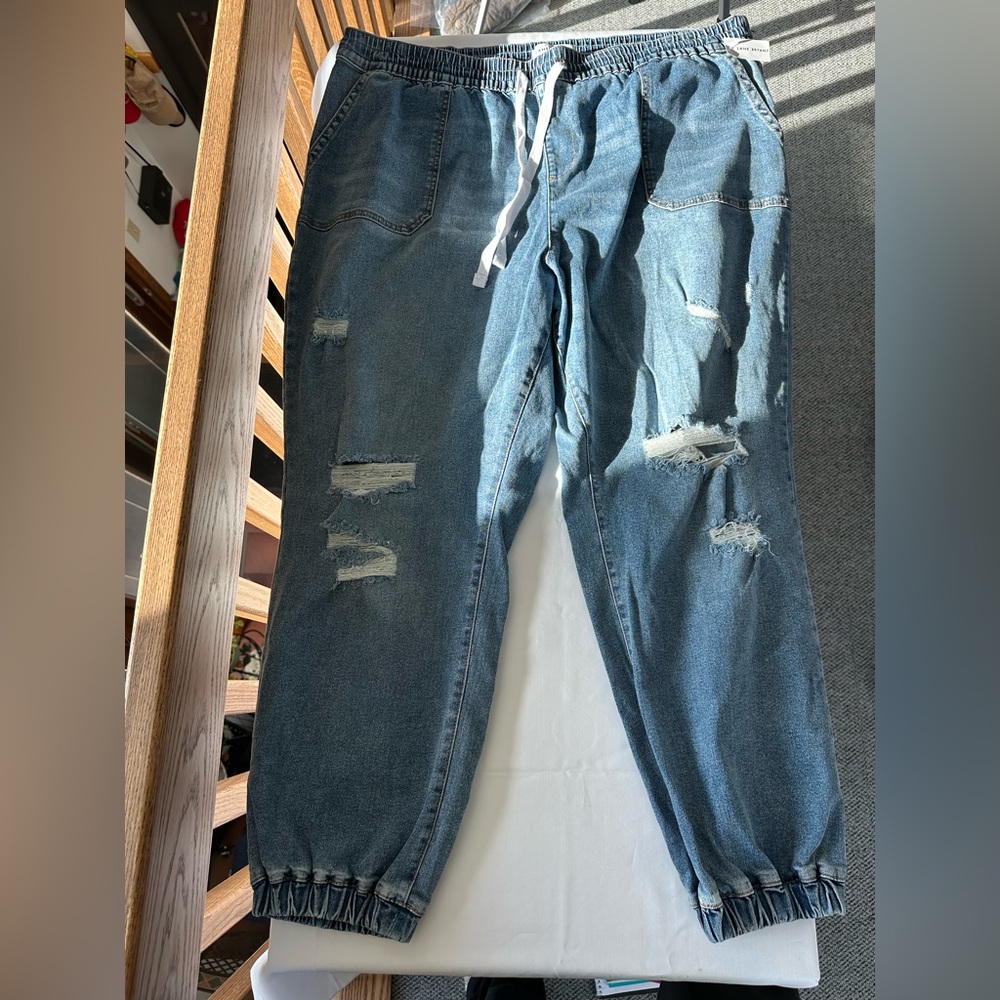 Lane Bryant Relaxed Blue Distressed Jeans